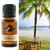 seabreeze fragrance oil