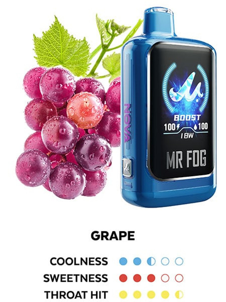 MR. FOG NOVA Grape 36K Puff Long-Lasting Vape