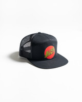 Santa Cruz 7 Panel Cap