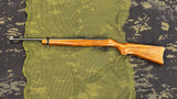 Ruger 10/22