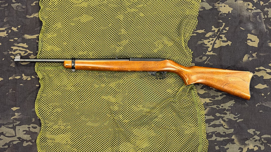 Ruger 10/22
