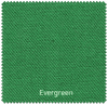 Evergreen (Pantone 7482U)