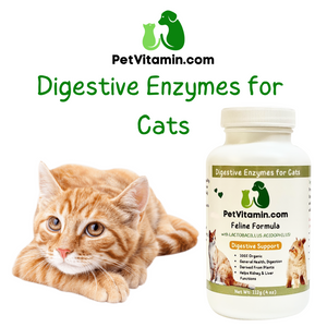 Digestive Enzymes for Cats 4 oz Digestive Enzymes for Cats 4 oz