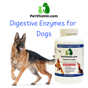 Digestive Enzymes for Dogs 7 oz Digestive Enzymes for Dogs 7 oz