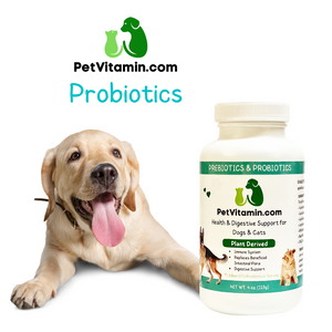 Probiotics 4 oz