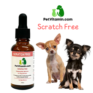 Scratch Free 1 oz Scratch Free 1 oz