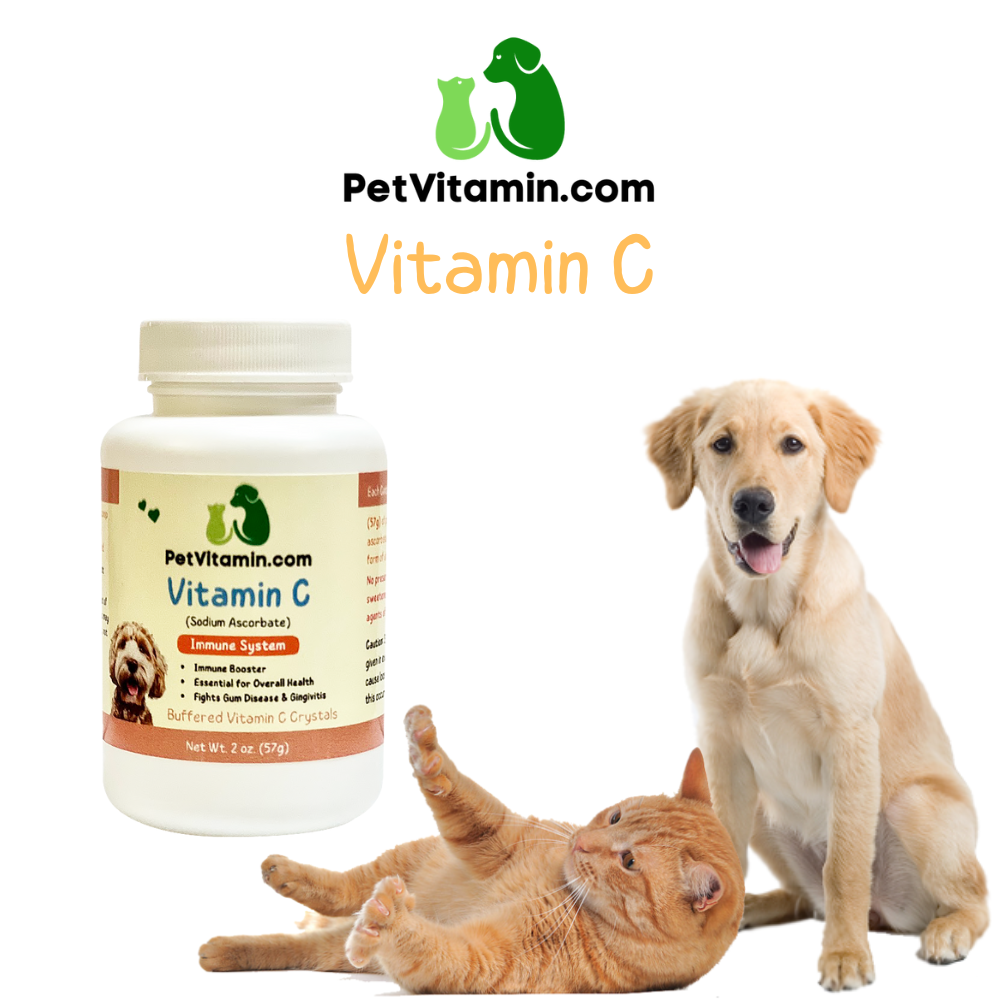 Top 5 Benefits Of Vitamin C For Dogs Cats Petvitamin top-5-benefits-of-vitamin-c-for-dogs-cats-petvitamin