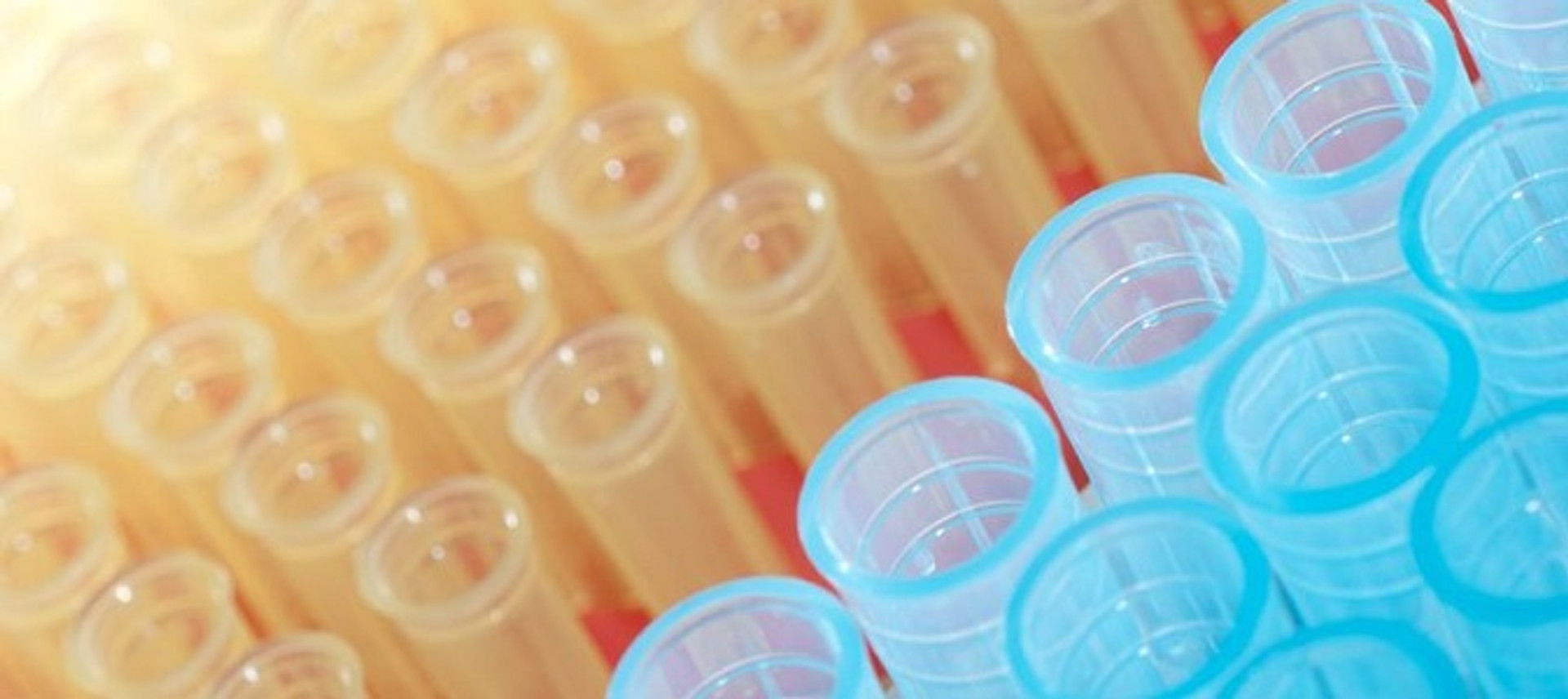 Lab Plastics Guide M2 Sci