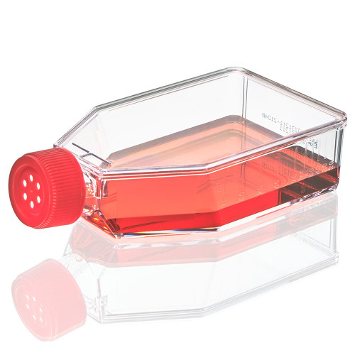 75cm2 cell culture tissue flask