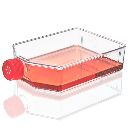 225cm2 cell culture tissue flask