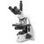 globe scientific EBS-1153-PLPH bscope