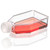 250ml cell culture flask