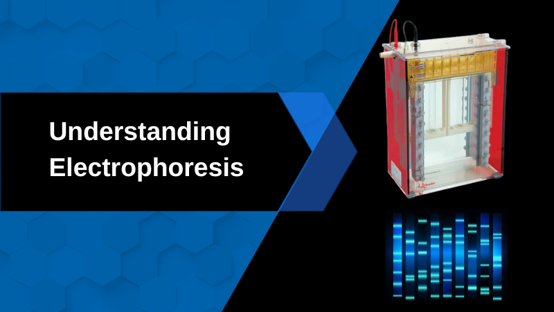 What is Electrophoresis and How Does it Work?