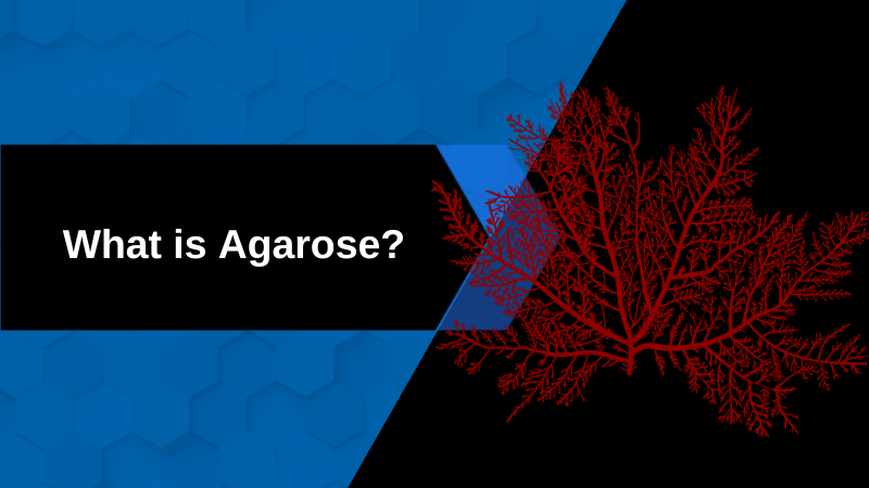 What is Agarose?