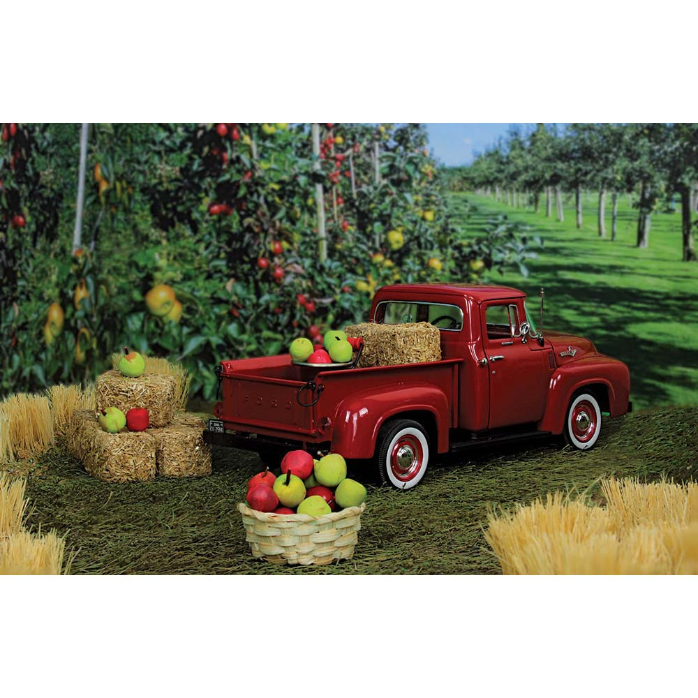 Vermillion Red 1956 Ford Pickup