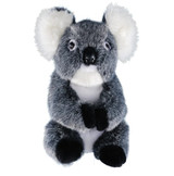 Koala.PNG