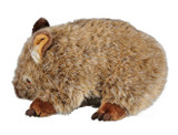 Wombat.PNG
