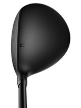 Darkspeed LS Fairway 2.jpg