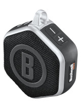 gps-wingman mini-silver.jpg