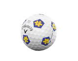 2025-CT-Truvis-Daffodil-Quarter-001.jpg