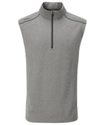Ping ramsey vesy grey.PNG