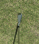 IMG_9806.jpeg