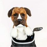 Daphne_Boxer.PNG