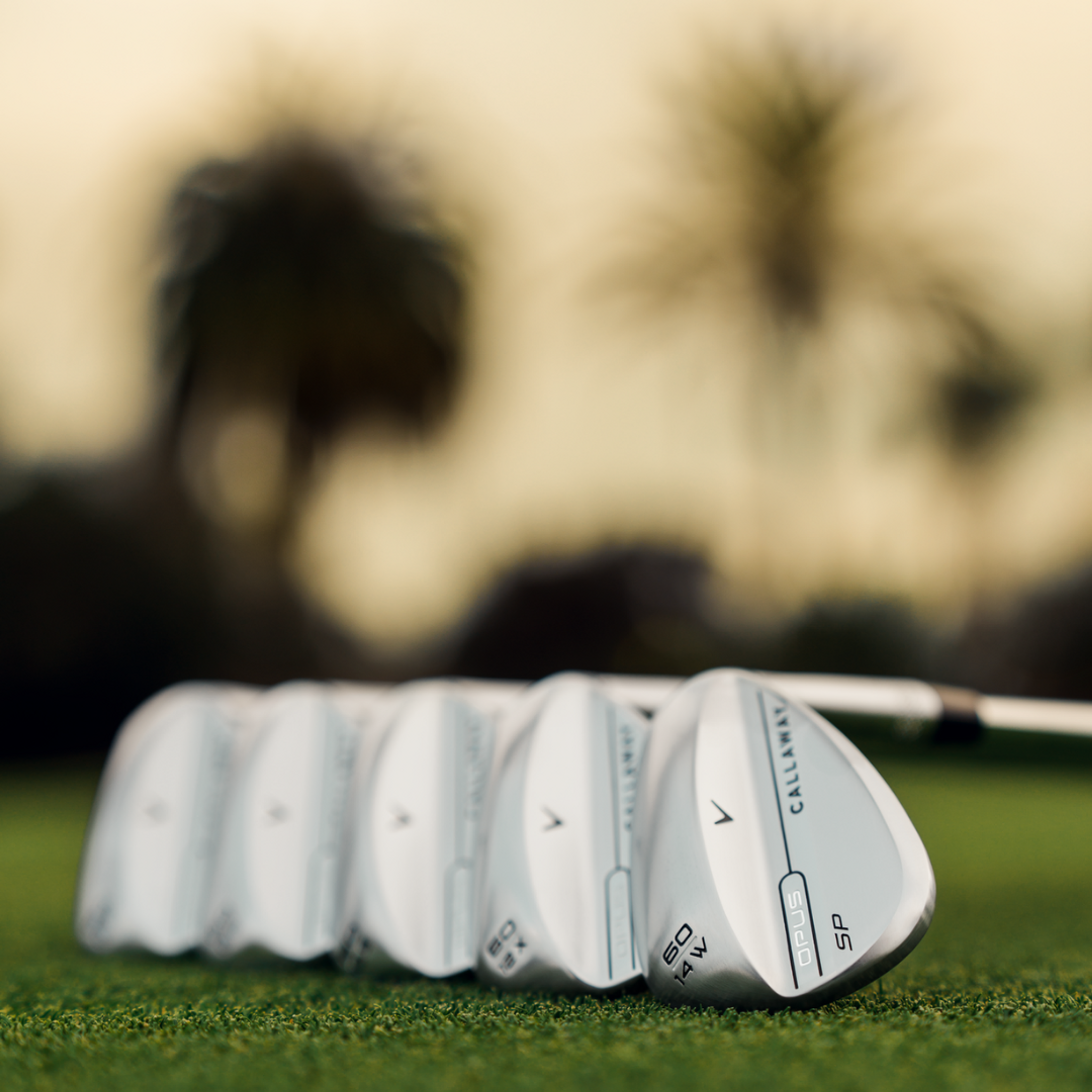 Callaway Opus SP Wedge