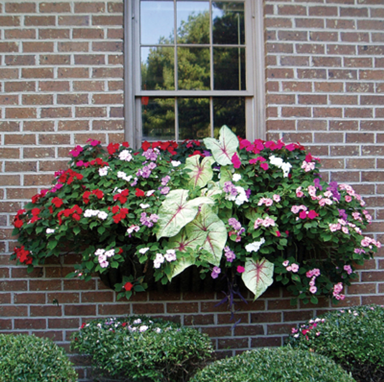 Classic Ironwork Planters Classic Ironwork Planters