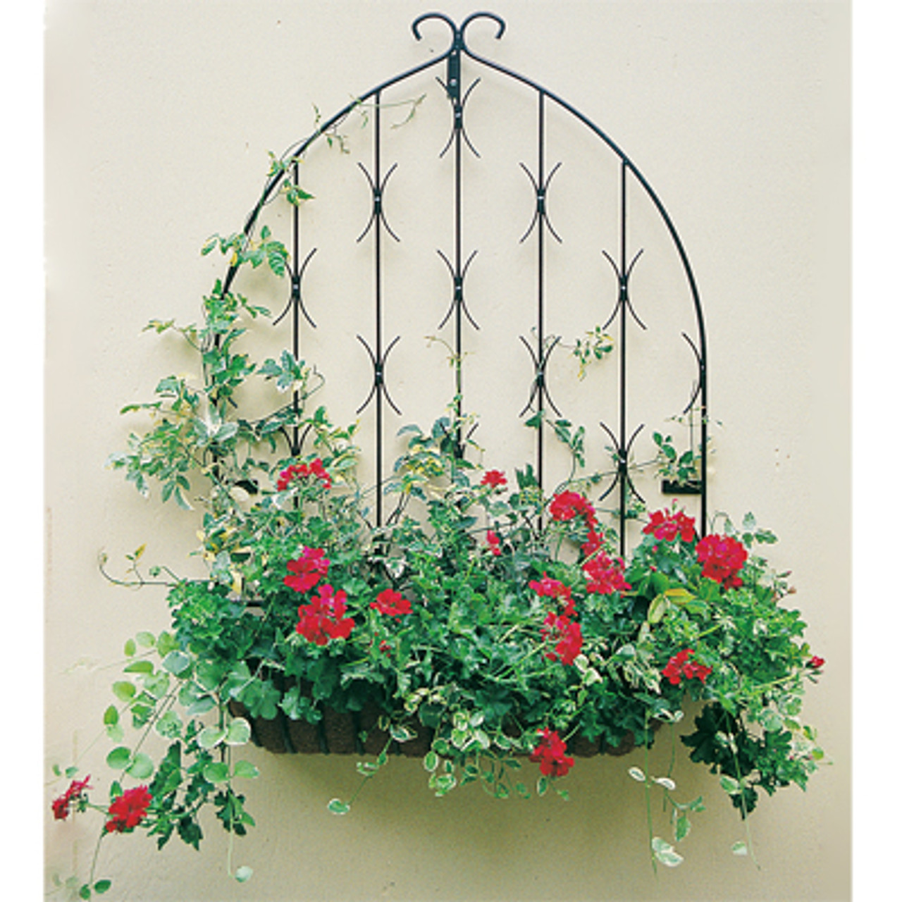 Hayrack Wall Trellises Hayrack Wall Trellises