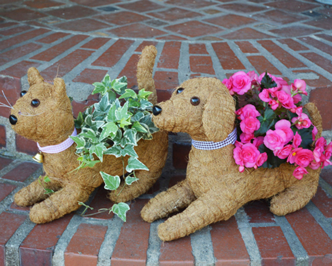 Garden Companions