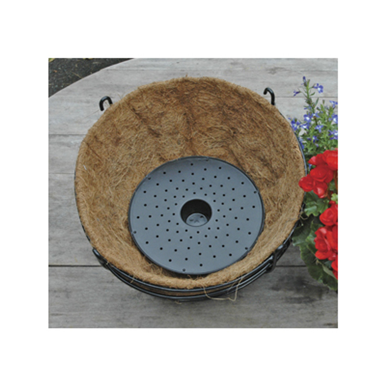 Basket Well