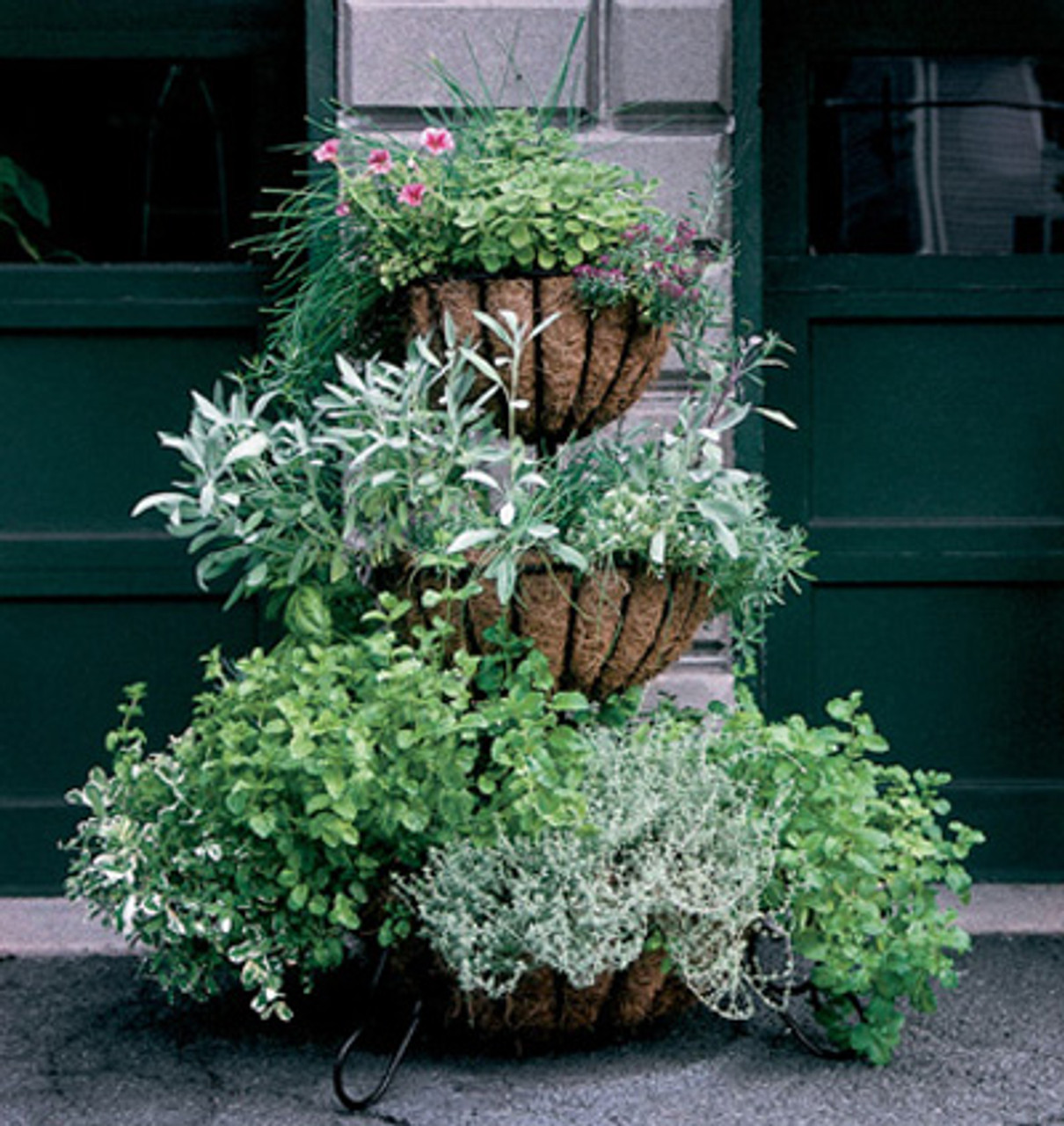 Container Gardening Container Gardening