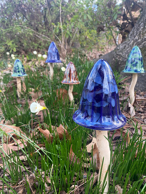 Magical Mushrooms