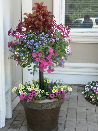 Pamela Crawford Planters: Basket Column For Large Pots