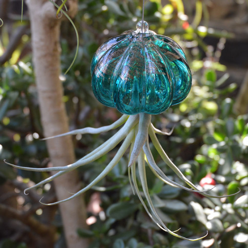 hanging plant hardware Leather Plant Hammock