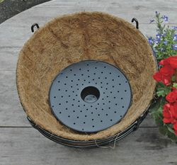Basket Well - Thumbnail 2
