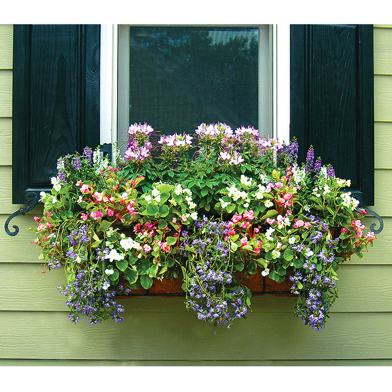 36 inch Window Box Planter Liner Set |Window Box Planters | Kinsman Garden