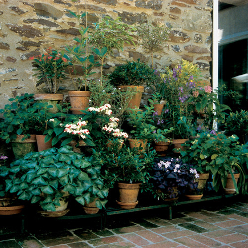 Rectangle Tiered Plant Stand | Plant Stands | Kinsman Garden