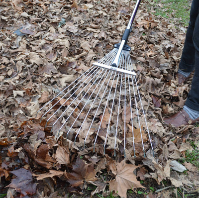 Darlac Leaf Rake - Telescopic and Expandable - Kinsman Garden Company