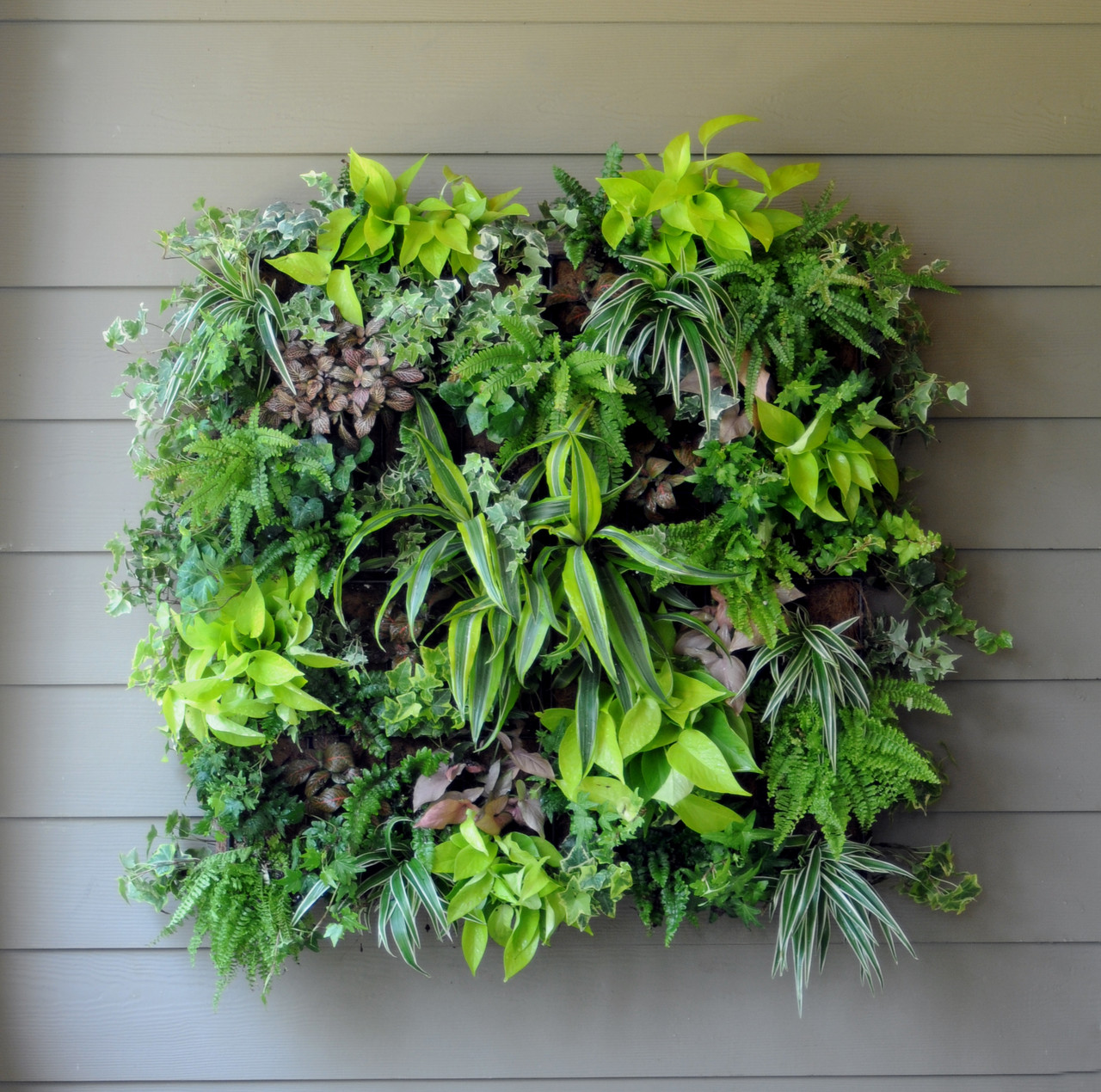 Pamela Crawford Living Wall Planter w/ Liner - Kinsman Garden Company