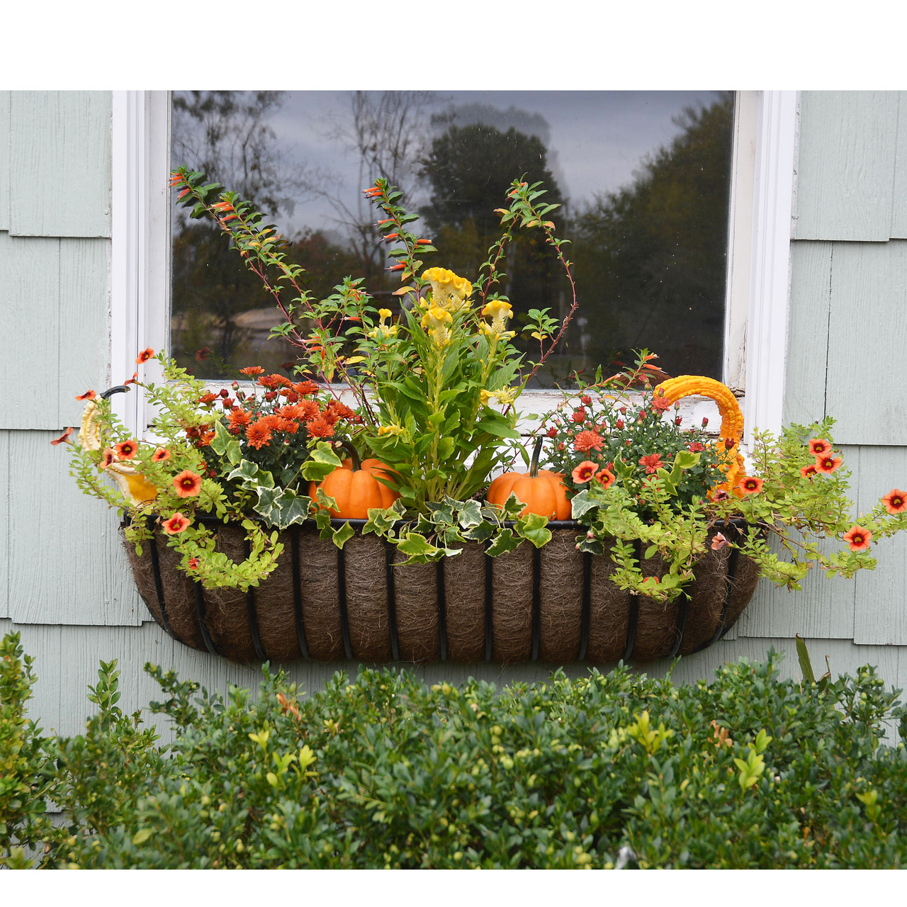 Euro Classic Hayrack Planter & Coco Fiber Liner Set