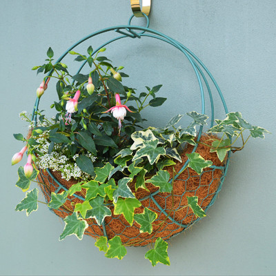 14-inch Wreath Hanging Basket with Coco-fiber Liner - Kinsman