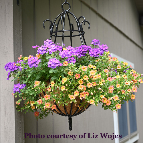 Peacock Hanging Planter & Liner Set