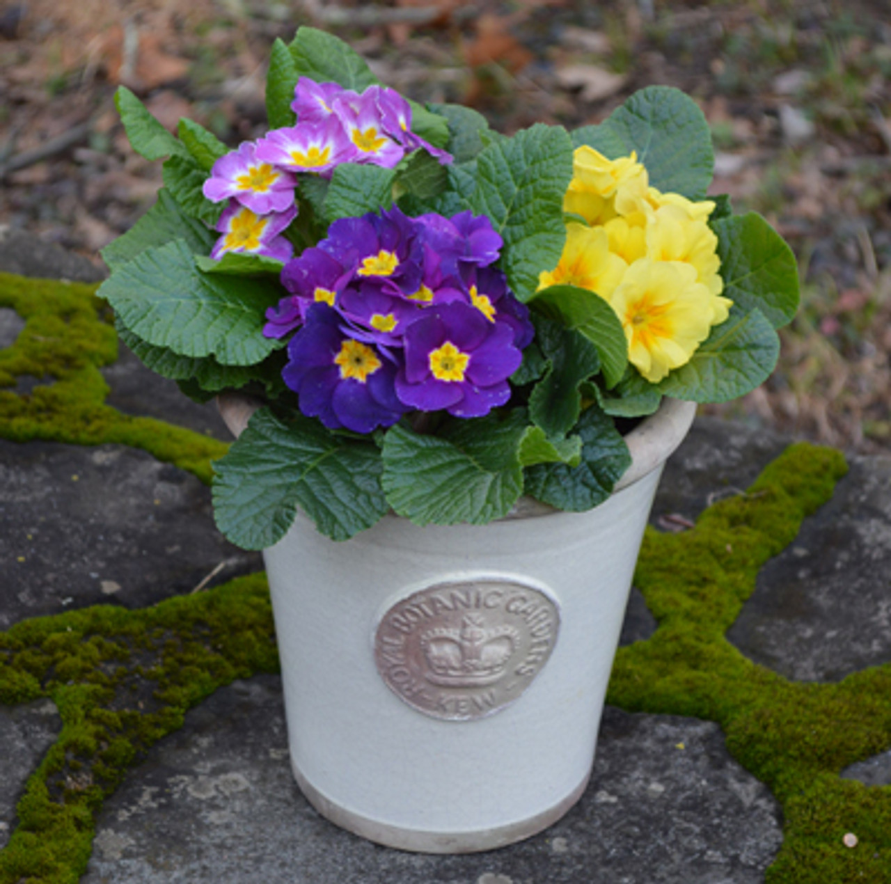 KEW Pots KEW Pots