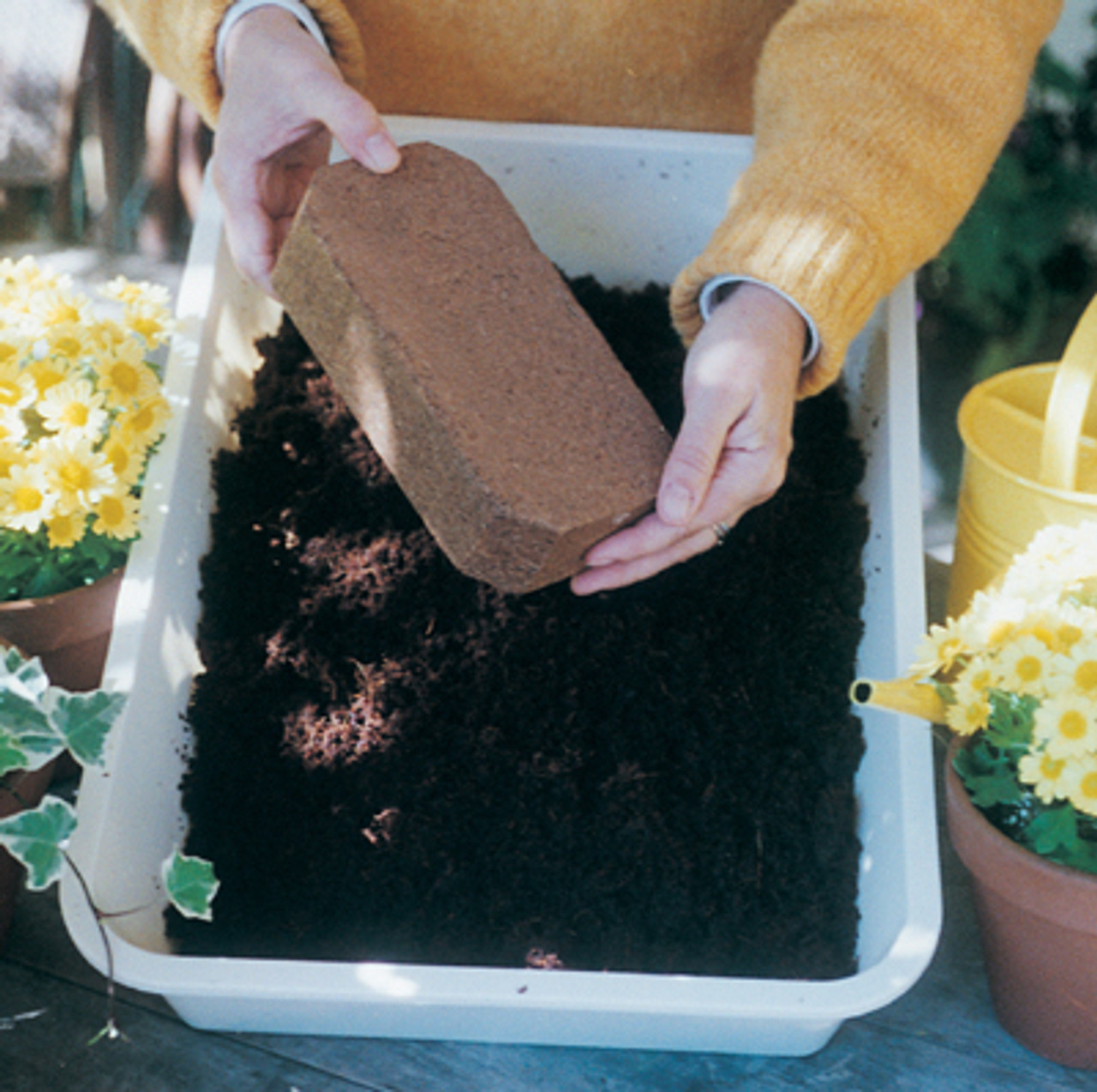 Coco-fiber & Coir Chip Bricks Coco-fiber & Coir Chip Bricks