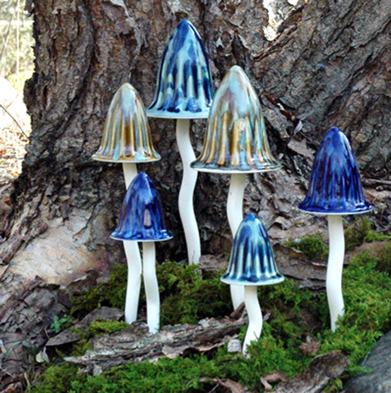 Magical Mushrooms Magical Mushrooms