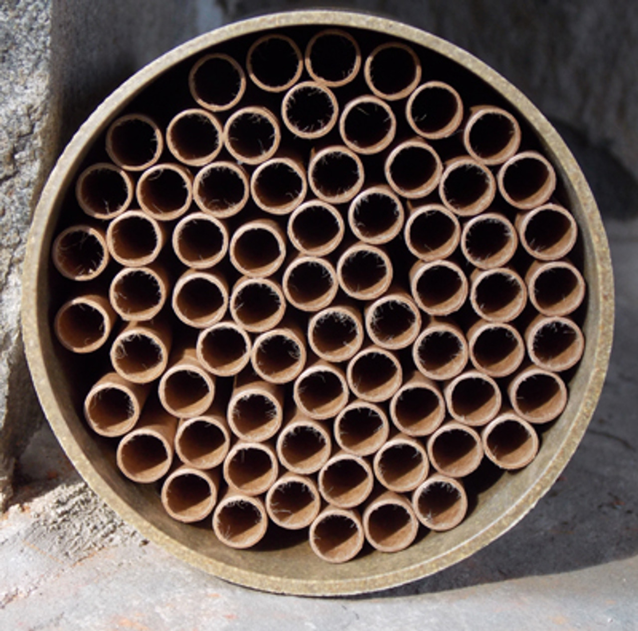 Nest Kits Nest Kits
