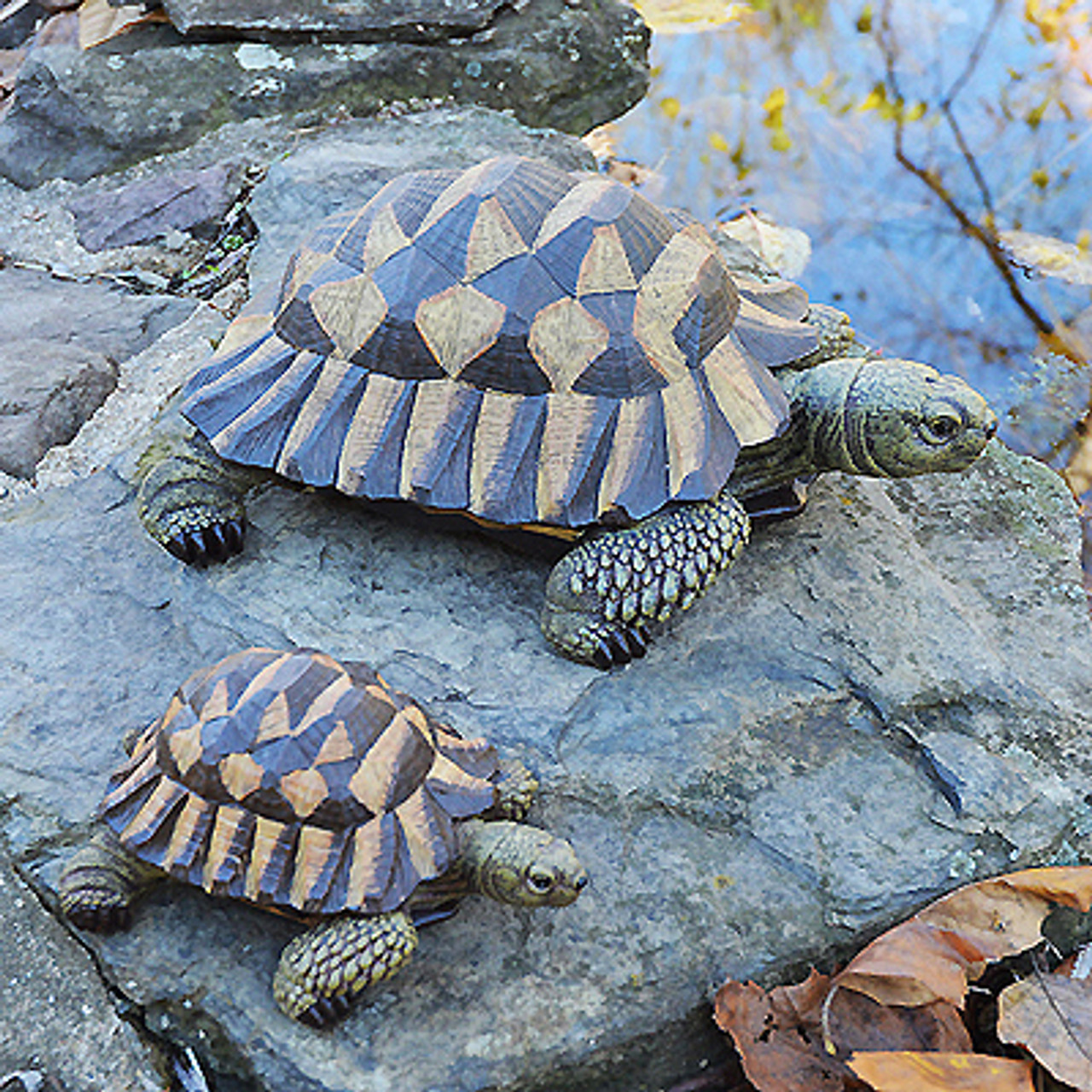 Garden Art