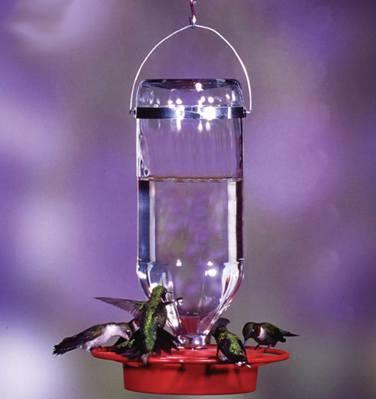 Hummingbird Feeders, Etc.